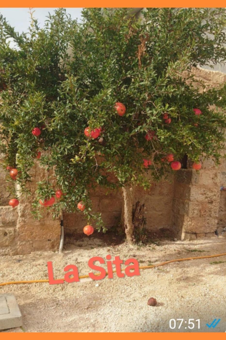 Apartamento La Sita Neviano Exterior foto